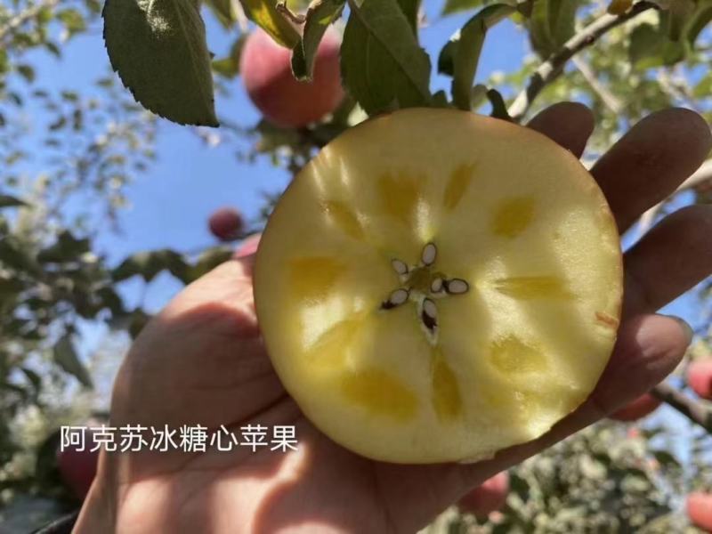 新疆阿克苏冰糖心红富士苹果产地直销，甘甜可口，欢迎下单