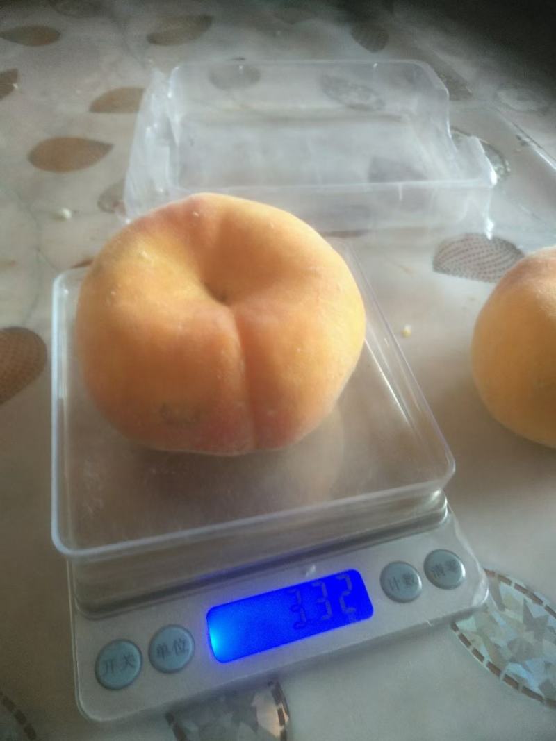 毛蟠桃中蟠11中蟠13一手货源