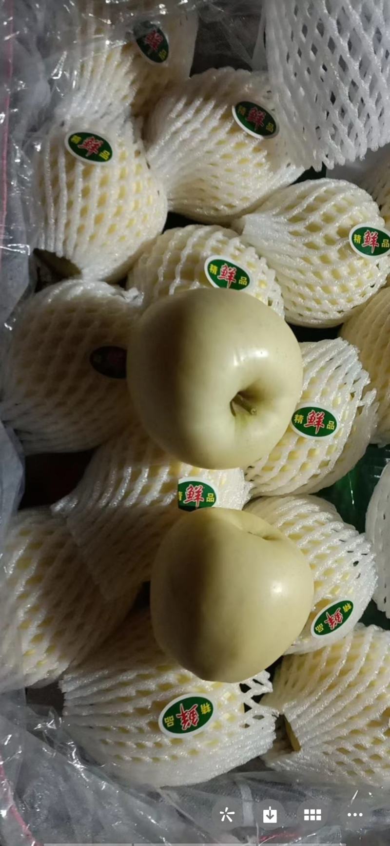 新疆阿克苏有要的可以联系真正的阿克苏想要各种苹果的来