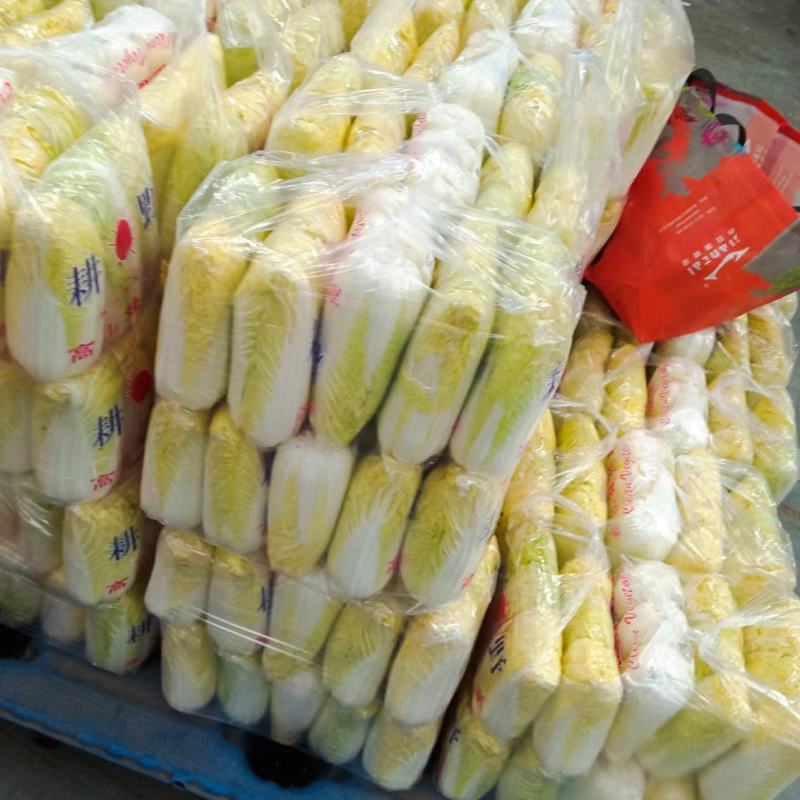 邯郸精品娃娃菜产地直发保质保量大量有货，欢迎订购