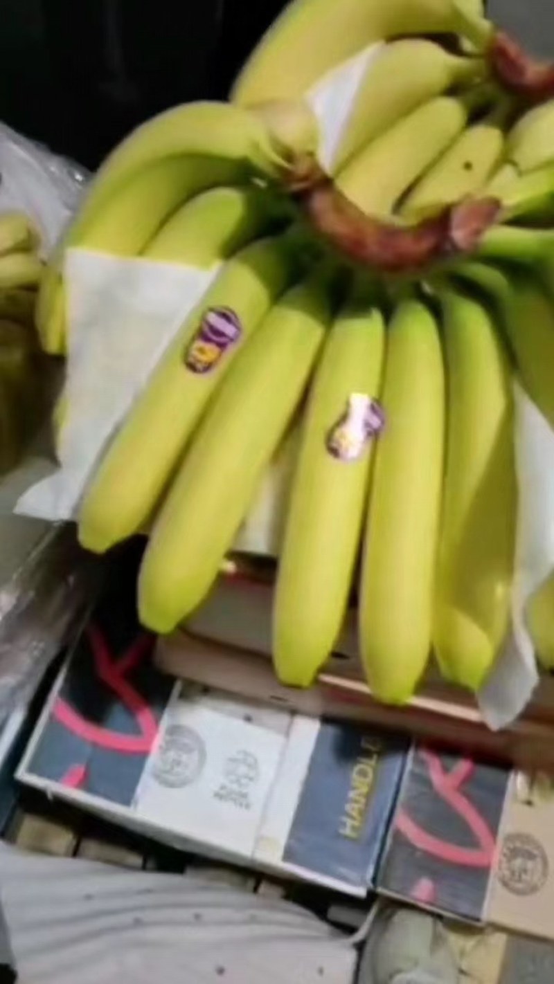 产地直供精品香蕉质量保证无黑心硬心包一切售后