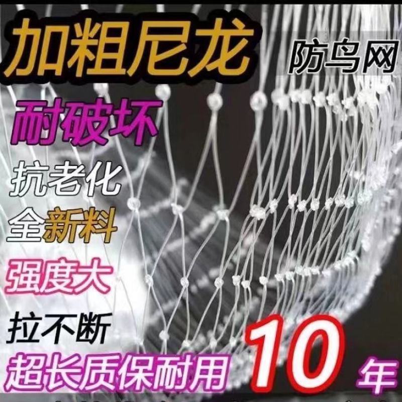 果园防鸟网果树樱桃葡萄防鸟用的网鱼塘天网大棚防护尼龙网养