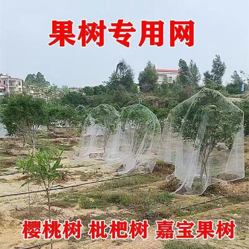 果园防鸟网果树樱桃葡萄防鸟用的网鱼塘天网大棚防护尼龙网养