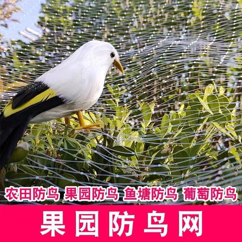 果园防鸟网果树樱桃葡萄防鸟用的网鱼塘天网大棚防护尼龙网养