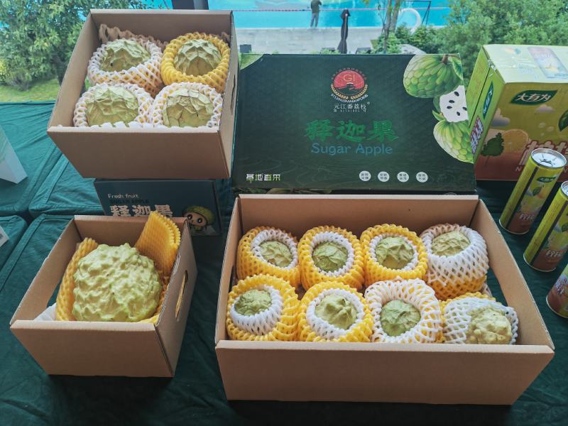 云南释迦果/凤梨释迦/