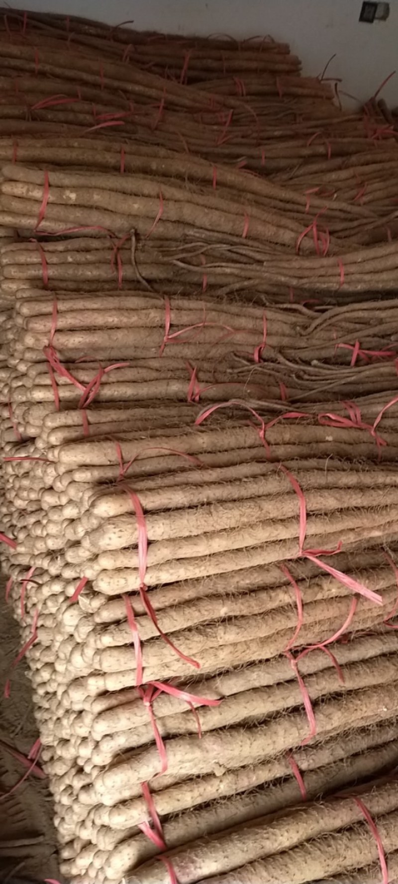 铁棍山药