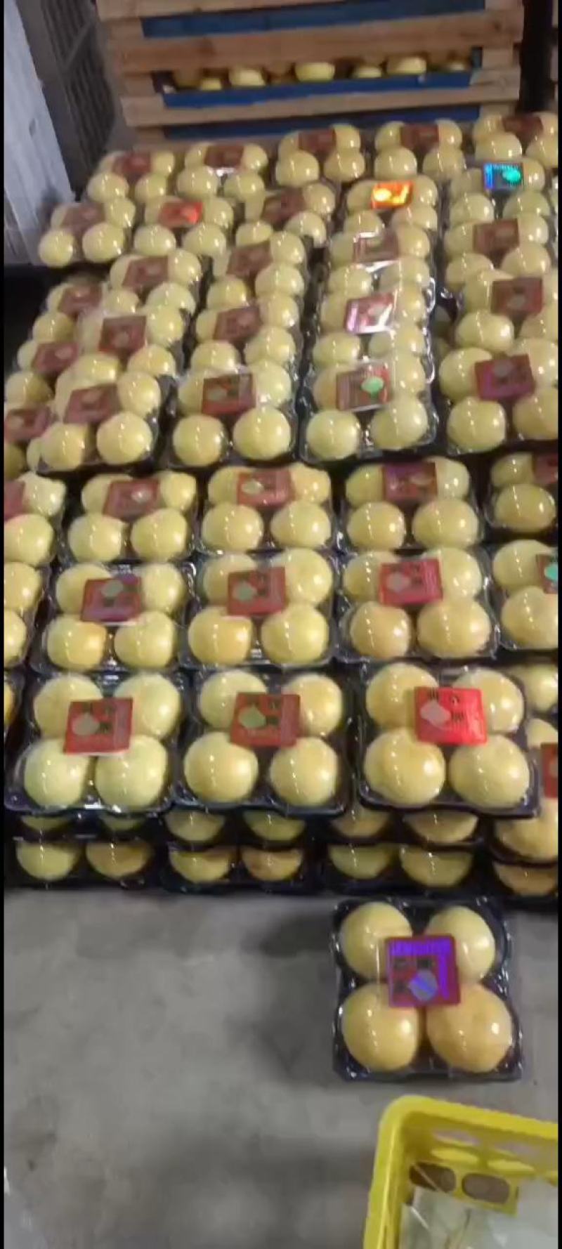 葡萄柚，琯溪葡萄柚，果甜爆汁糖度高