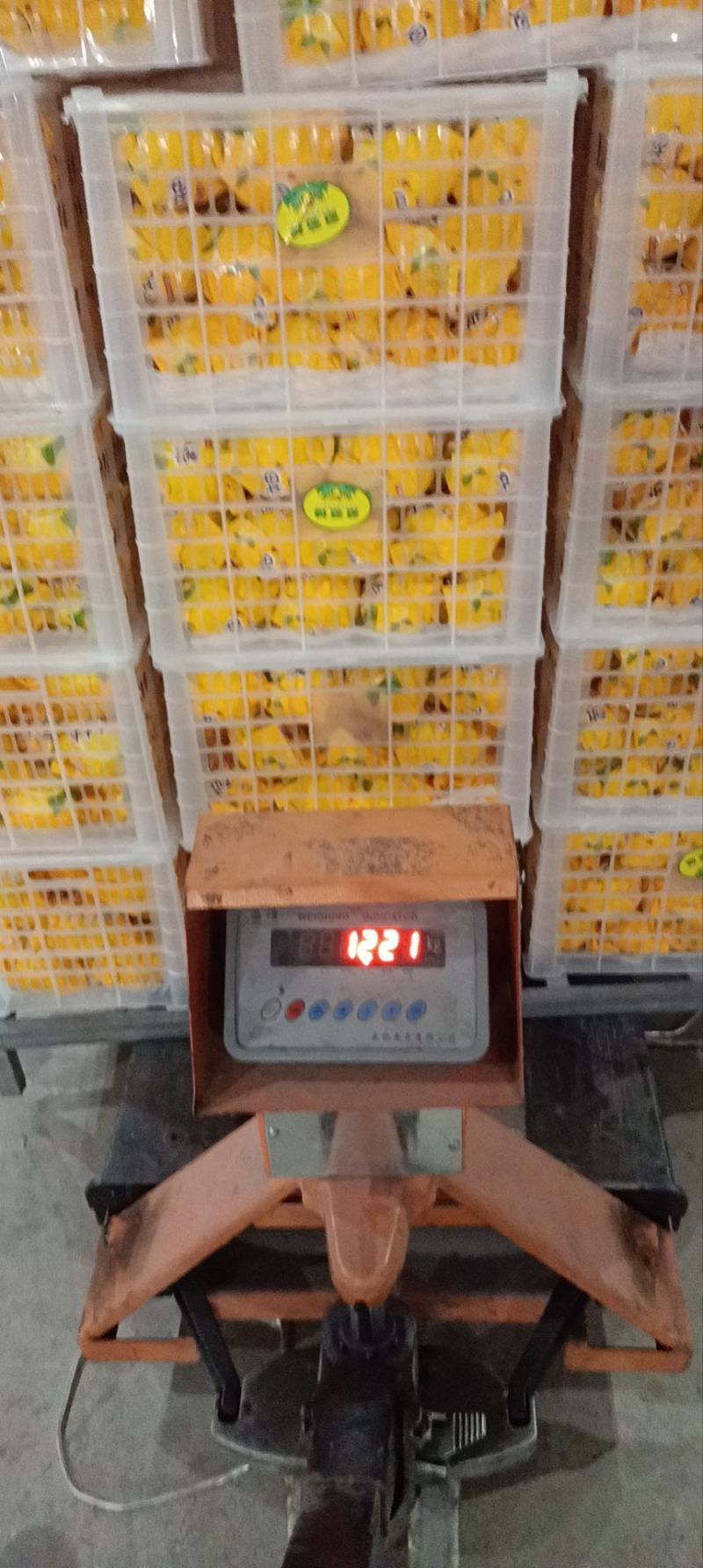 葡萄柚，琯溪葡萄柚，果甜爆汁糖度高