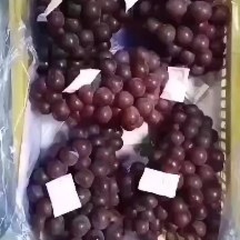 15斤黄箱葡萄