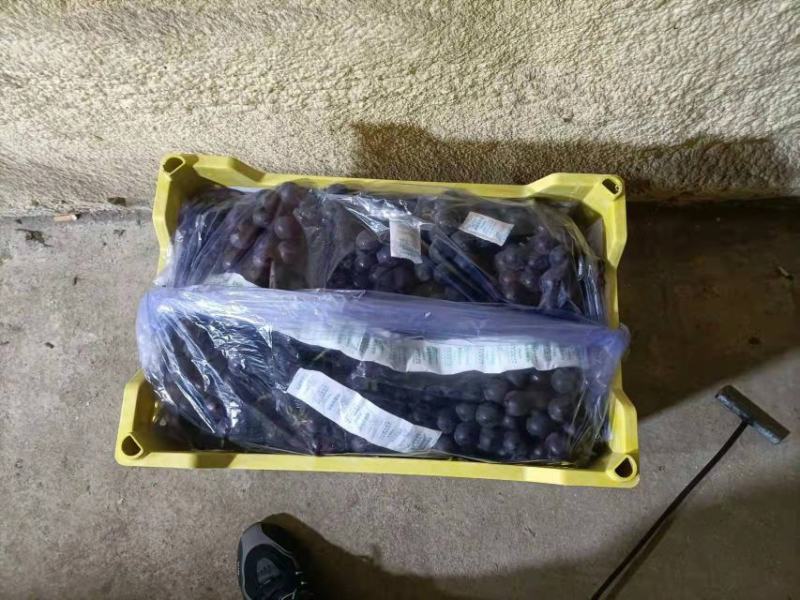 15斤黄箱葡萄