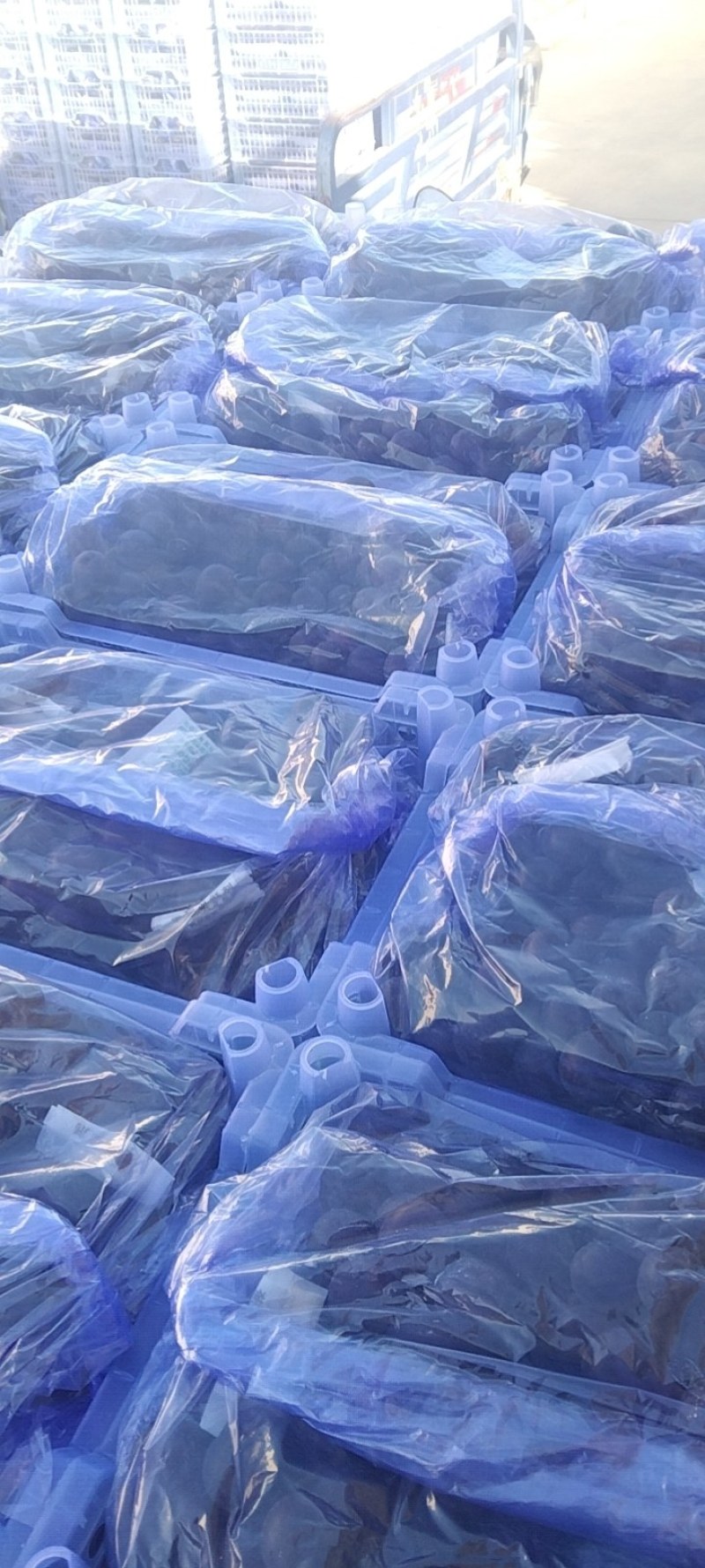 5斤白盒精品巨峰葡萄