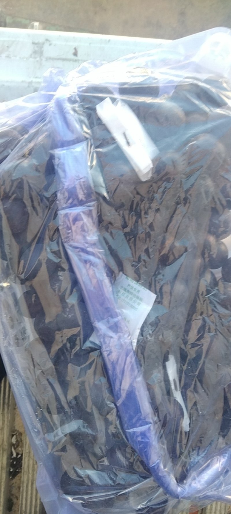 5斤白盒精品巨峰葡萄