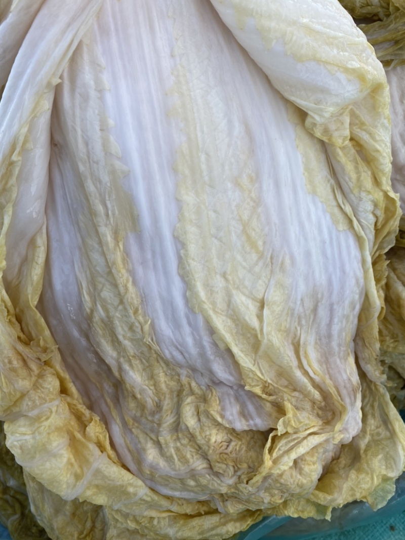 东北酸菜