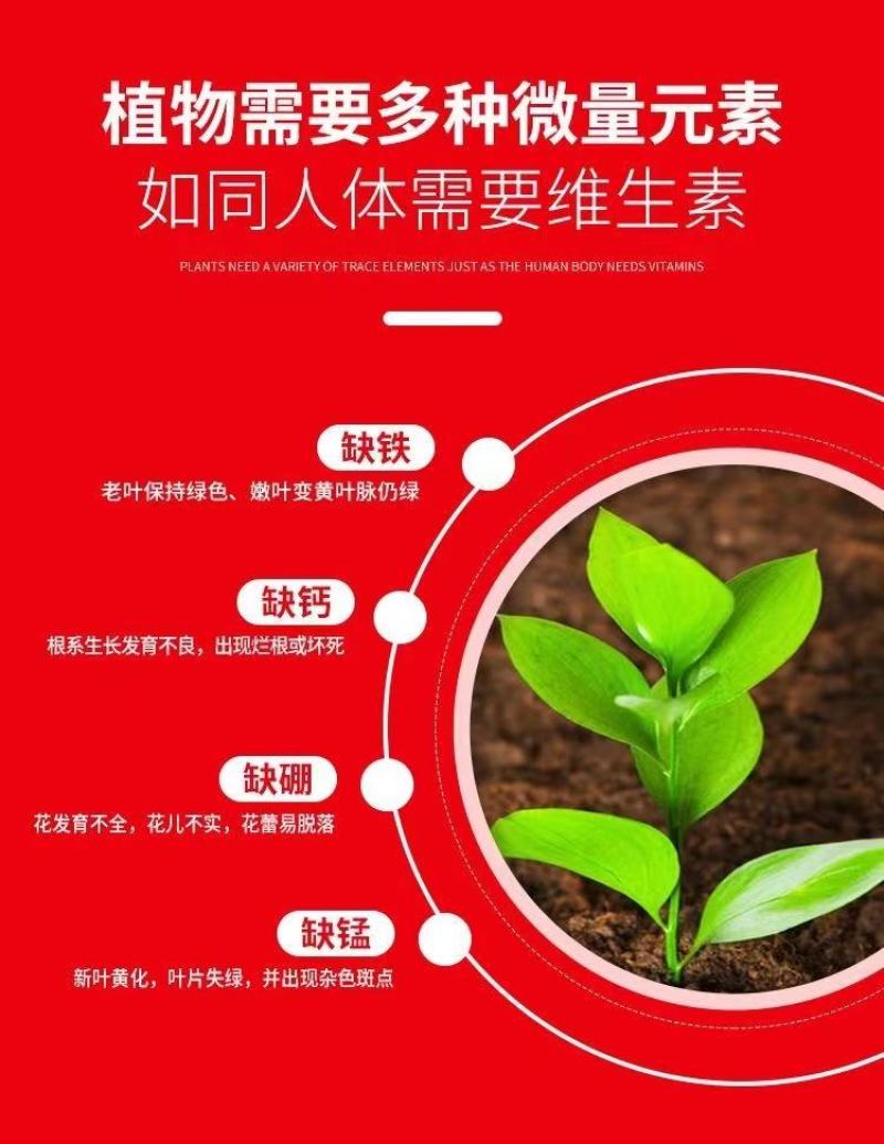 炽繁肥业氨基酸水溶性肥料果树蔬菜草莓桶装水溶肥料