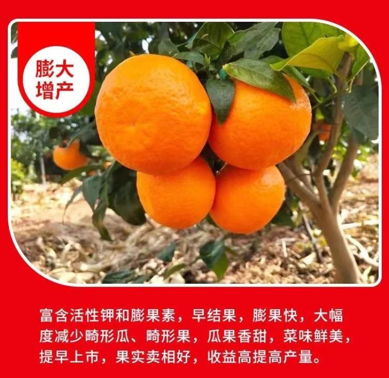 炽繁肥业氨基酸水溶性肥料果树蔬菜草莓桶装水溶肥料