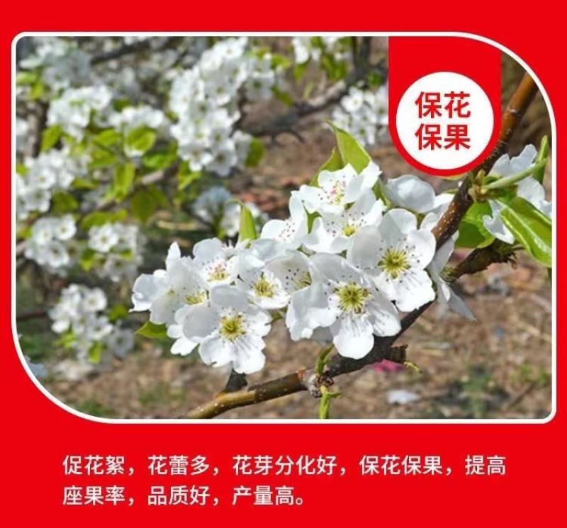 炽繁肥业氨基酸水溶性肥料果树蔬菜草莓桶装水溶肥料
