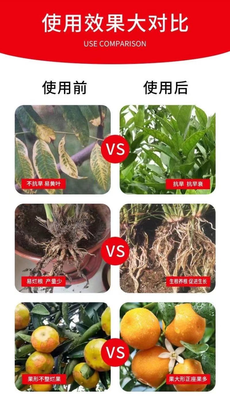炽繁肥业氨基酸水溶性肥料果树蔬菜草莓桶装水溶肥料