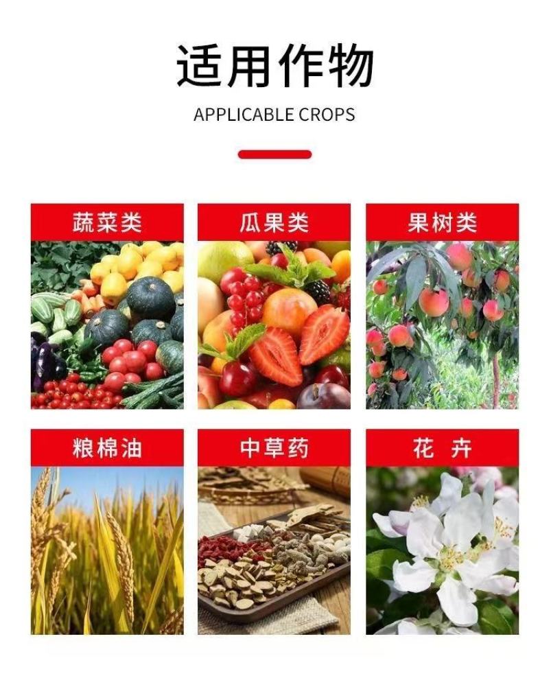 炽繁肥业氨基酸水溶性肥料果树蔬菜草莓桶装水溶肥料