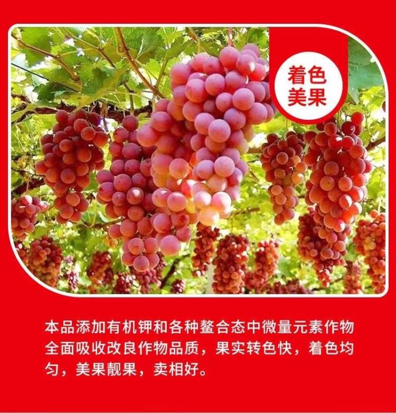 炽繁肥业氨基酸水溶性肥料果树蔬菜草莓桶装水溶肥料