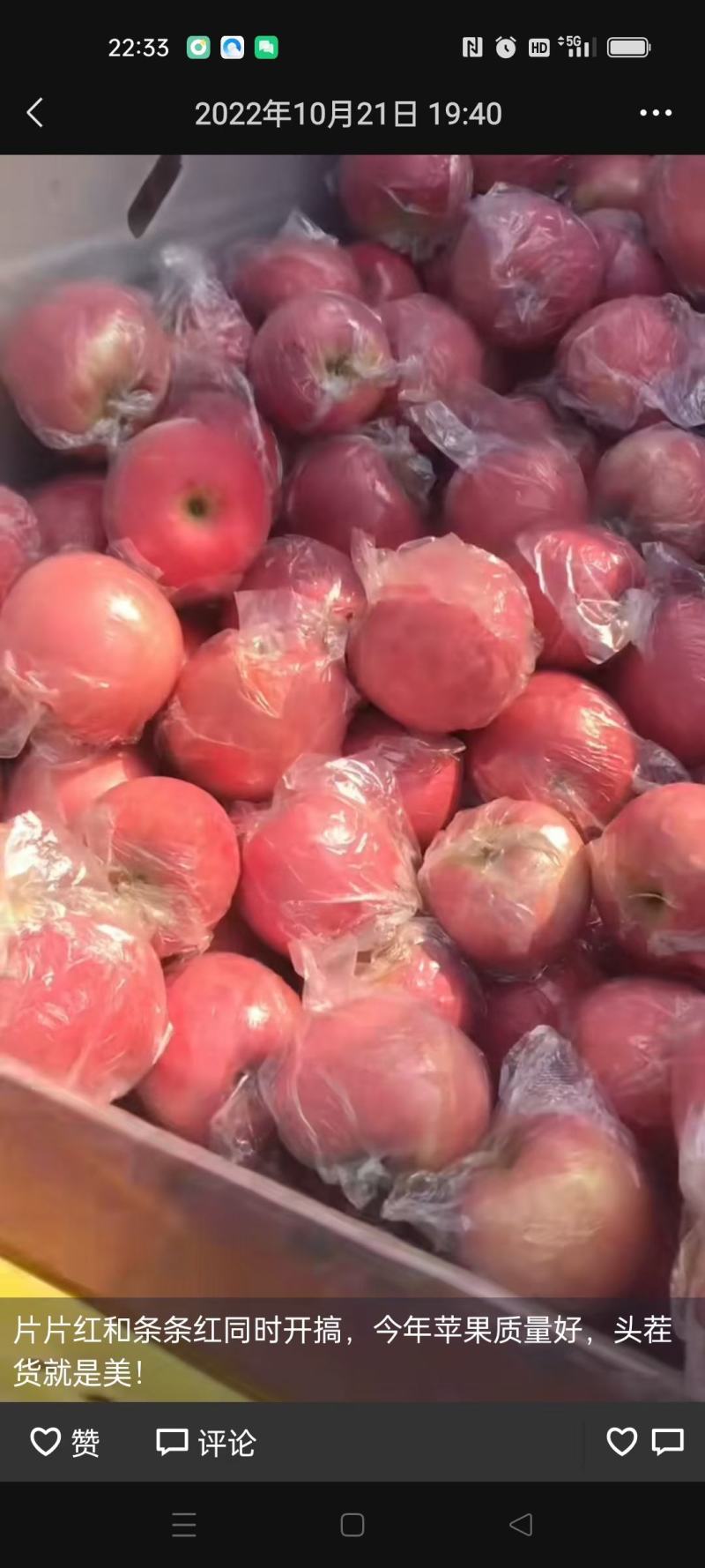 万荣苹果