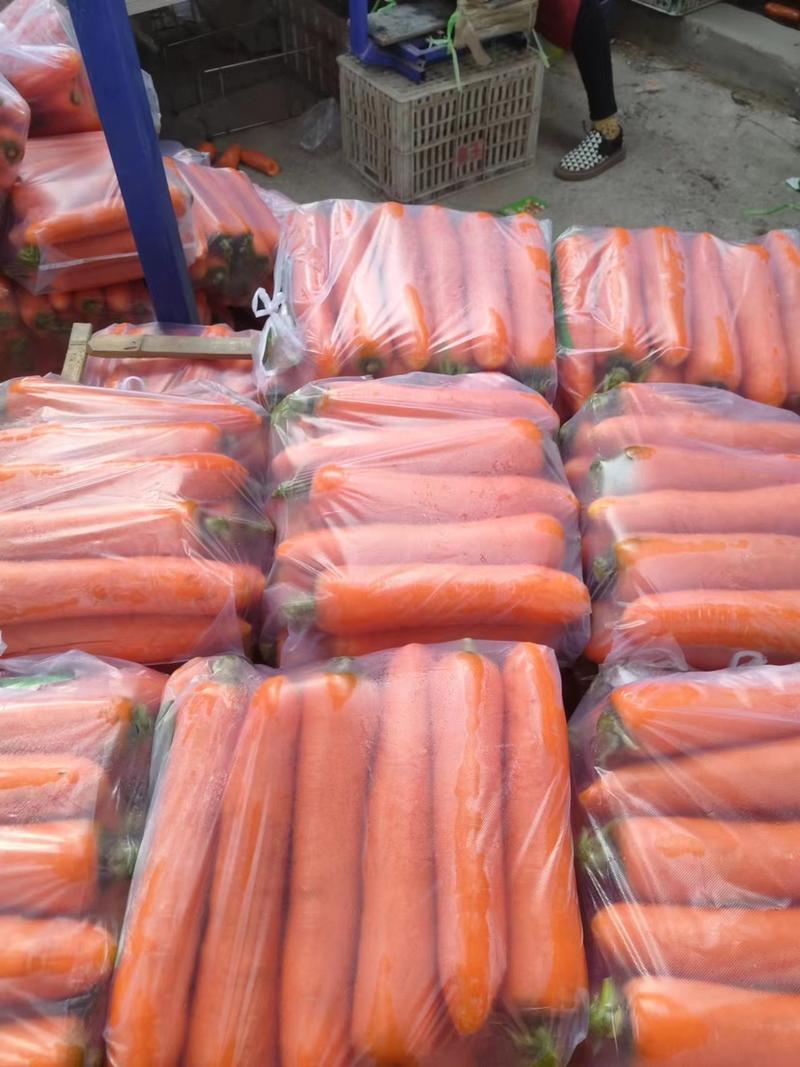 河南开封精品水洗胡萝卜中大条量大优惠协助找车提供包装