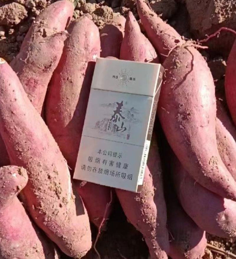 西瓜红大量供应红心蜜薯大量现货红心糖心