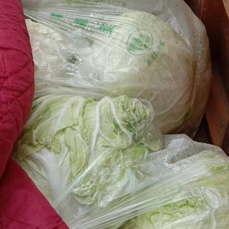 大白菜