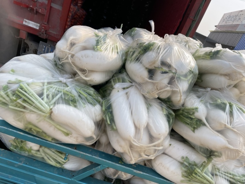 需要的朋友可以联系我