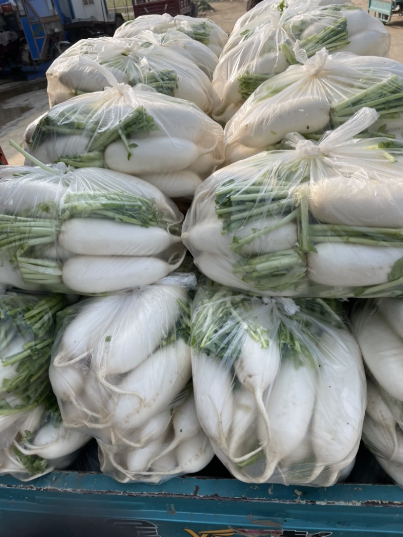 需要的朋友可以联系我