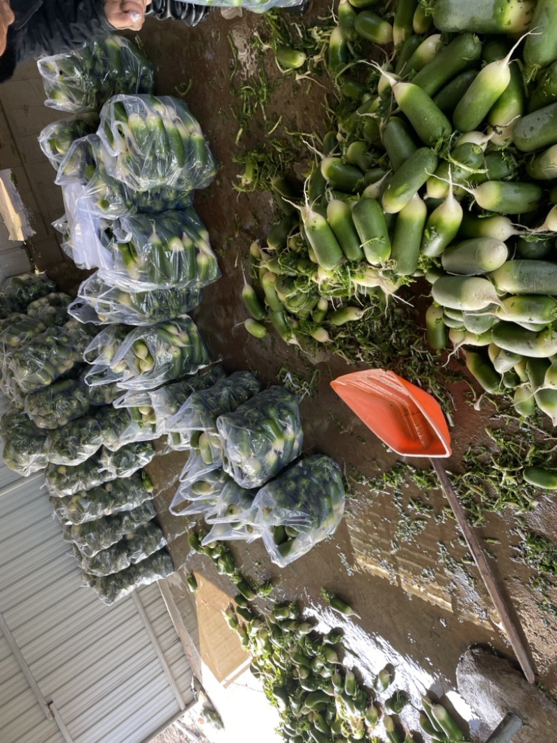 需要的朋友可以联系我