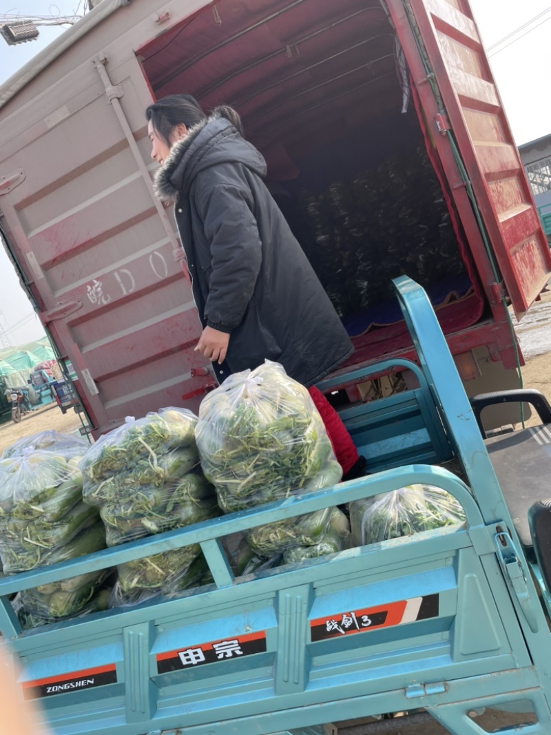 需要的朋友可以联系我