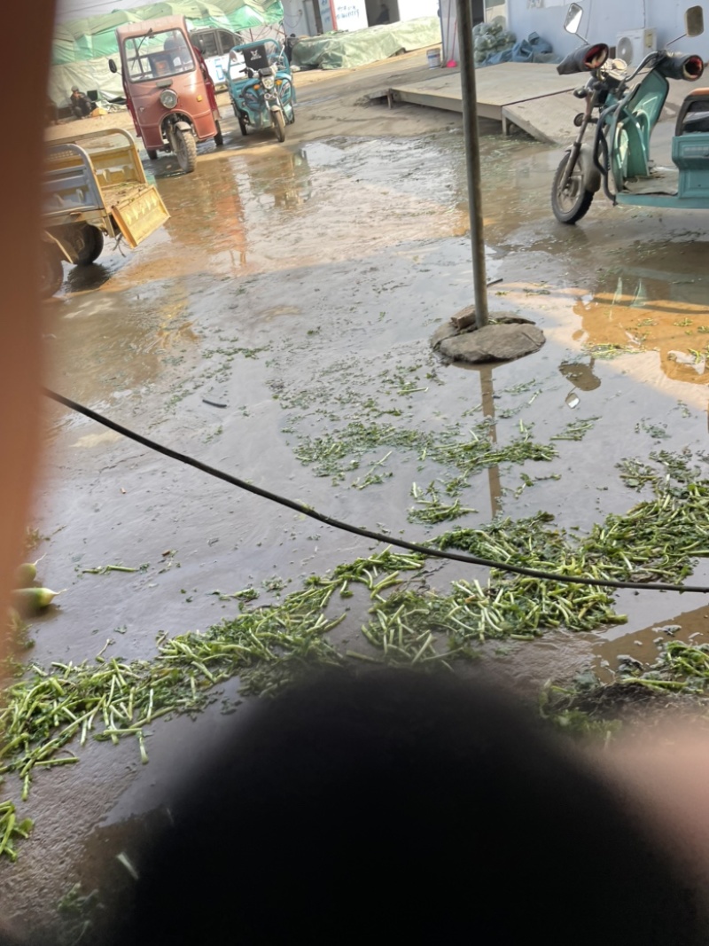 需要的朋友可以联系我