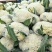 【精选】花菜精品有机花菜大量上市货源充足价格便宜