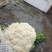 【精选】花菜精品有机花菜大量上市货源充足价格便宜