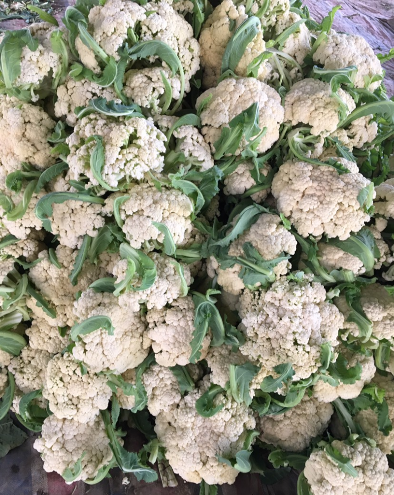 【精选】花菜精品有机花菜大量上市货源充足价格便宜
