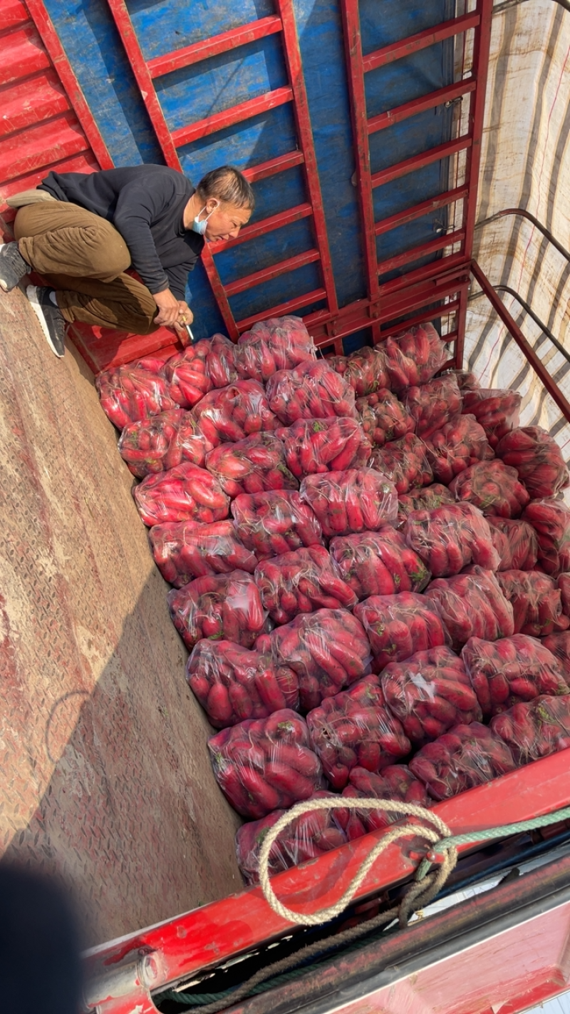 需要的朋友可以联系我