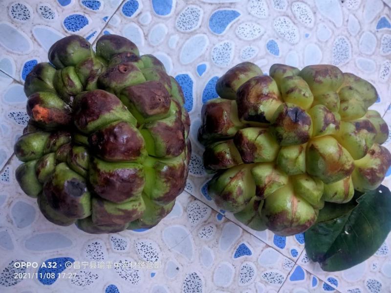 滇鸡血藤、海风藤饮片，产地直供。