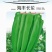 海丰大牛角椒品种果大顺直产量高抗病
