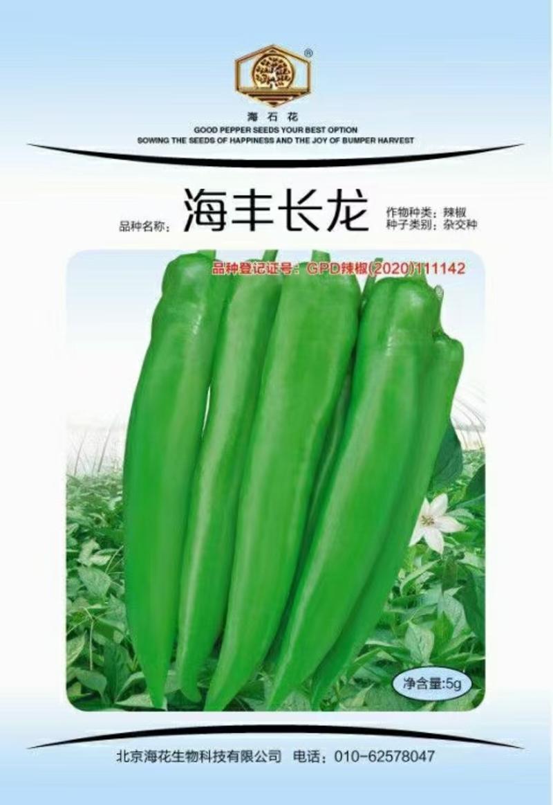 海丰大牛角椒品种果大顺直产量高抗病