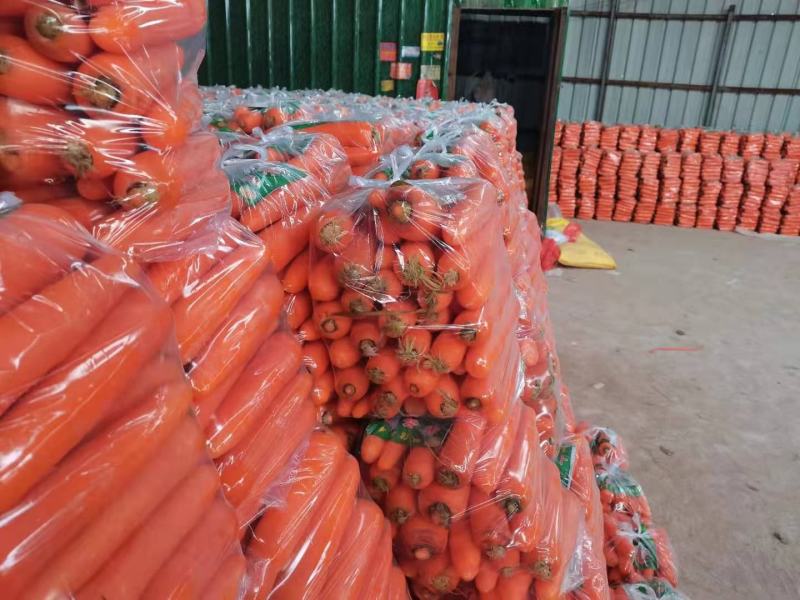 三红胡萝卜河南胡萝卜水洗加工货源充足质量保证全国发