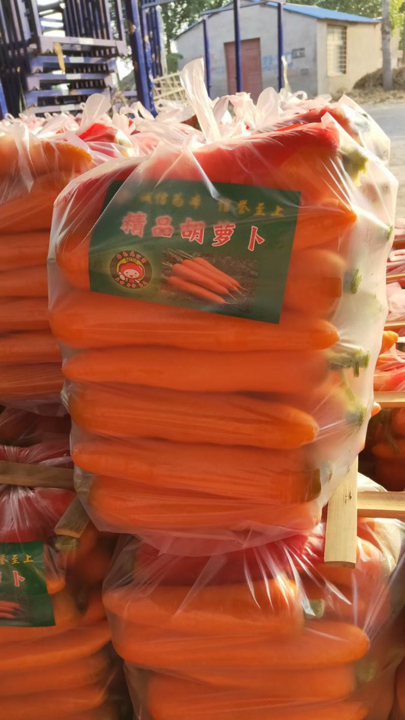 三红胡萝卜河南胡萝卜水洗加工货源充足质量保证全国发