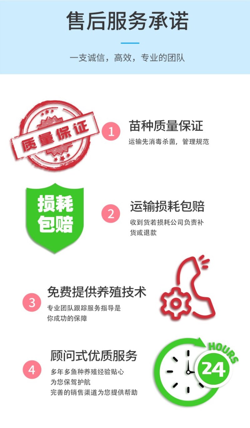 中科5号鲫鱼天贵水产基地直发品质很好欢迎前来考察