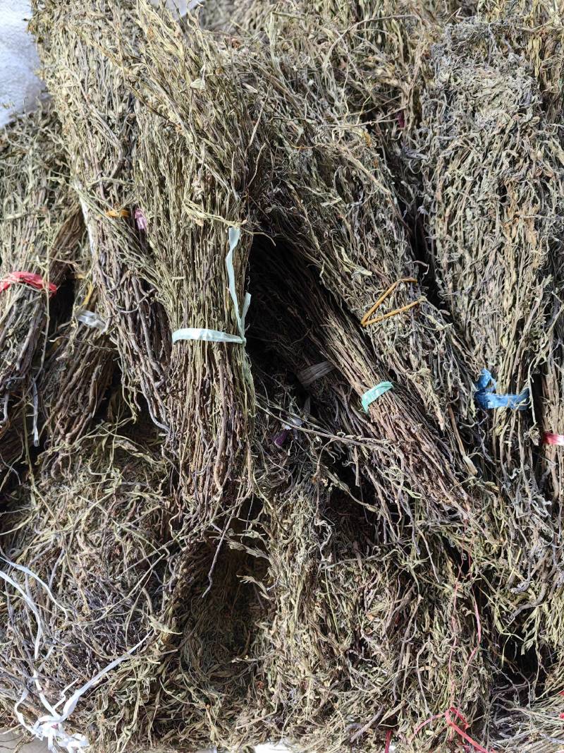 独脚金疳积草