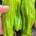 芜湖椒，薄皮椒广东湛江，产地直发，货源充足，对接市场商超