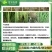 汤普乐百发百中35%咪鲜胺乙蒜素枯萎病真菌花卉蔬菜广谱