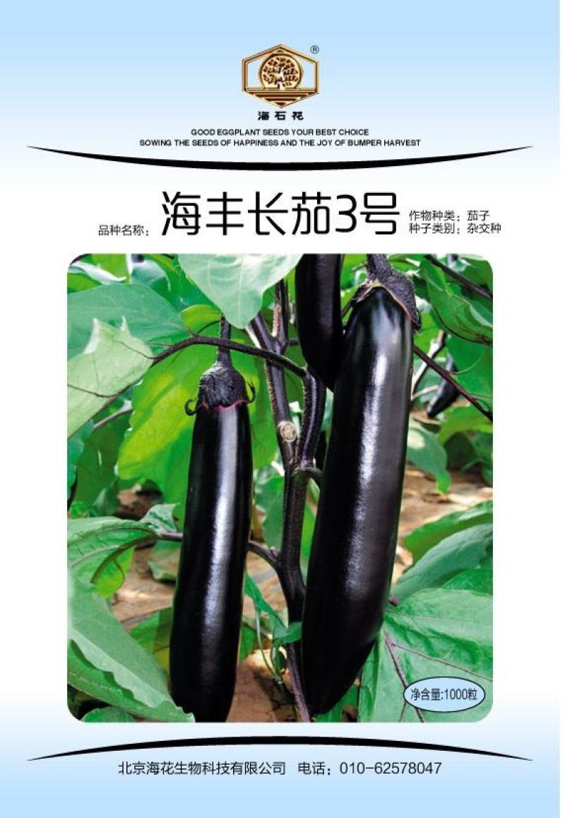 海丰长茄3号茄子种子果面光亮顺直商品性佳高产抗病