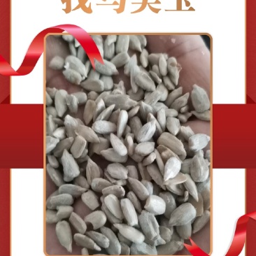 精品葵仁油葵精仁大宗批发营养健康品质保证