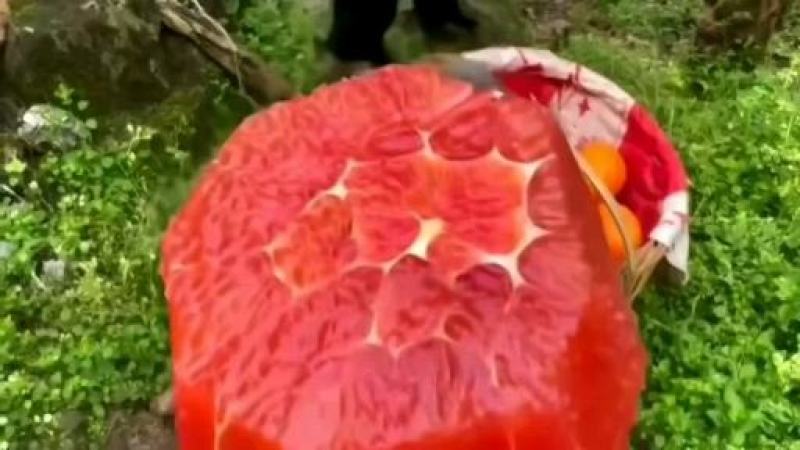 精品中华红心橙