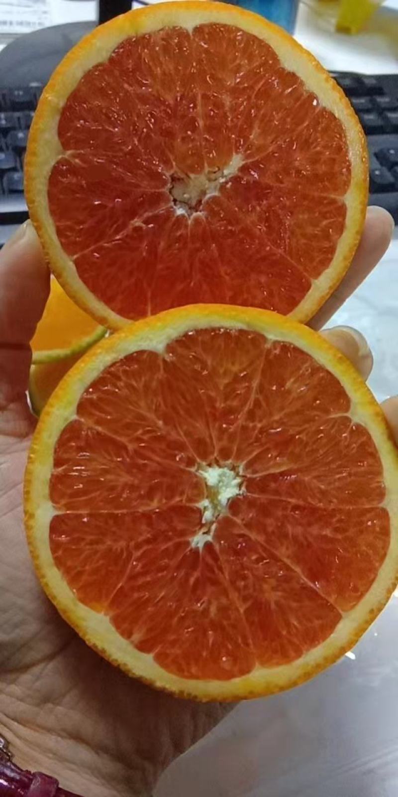 精品中华红心橙