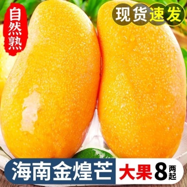 包邮）大芒果金煌芒新鲜水果10斤大青芒批发甜芒果当季整箱